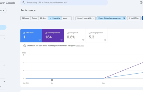 seo case-study