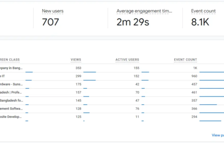 seo case study snapshot