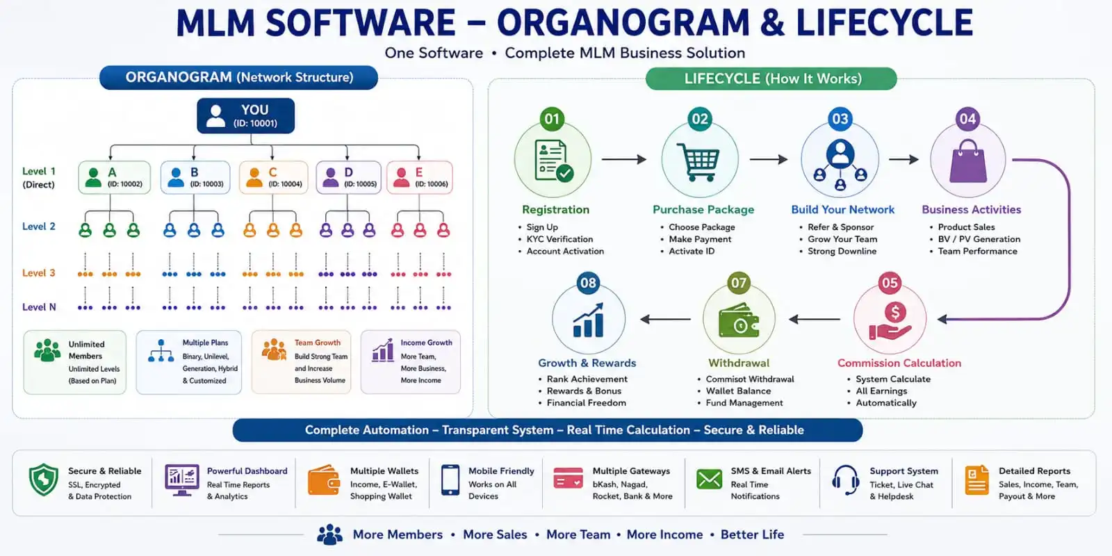 mlm software life cycle